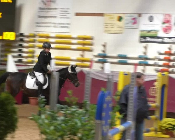 Reitturnier Eicherloh RH Laurent 2017