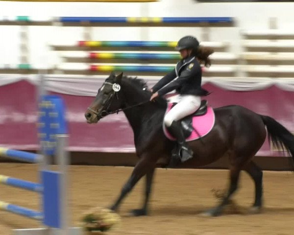Reitturnier Eicherloh RH Laurent 2017