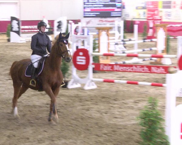 Reitturnier Trier - Hofgut Monaise 2017