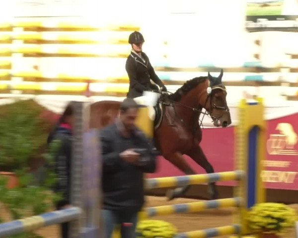 Reitturnier Eicherloh RH Laurent 2017