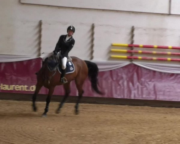 Reitturnier Eicherloh RH Laurent 2017