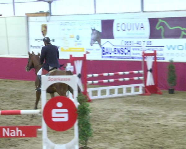 Reitturnier Trier - Hofgut Monaise 2017
