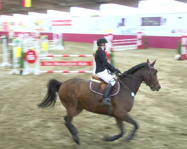 Reitturnier Trier - Hofgut Monaise 2017