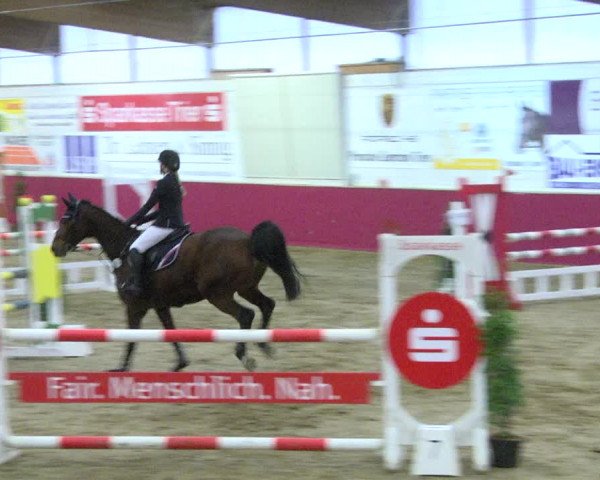 Reitturnier Trier - Hofgut Monaise 2017