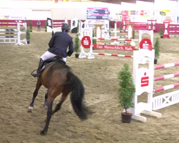 Reitturnier Trier - Hofgut Monaise 2017