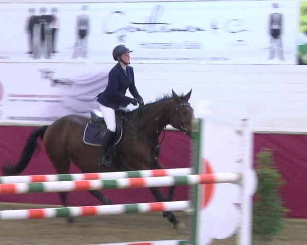 Reitturnier Trier - Hofgut Monaise 2017