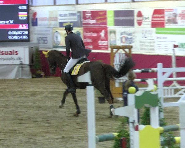 Reitturnier Trier - Hofgut Monaise 2017