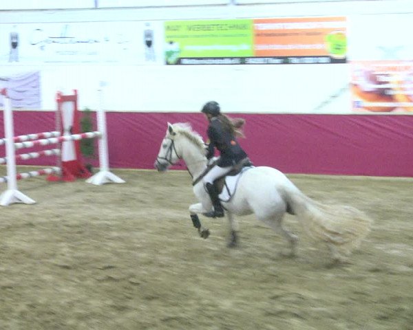 Reitturnier Trier - Hofgut Monaise 2017