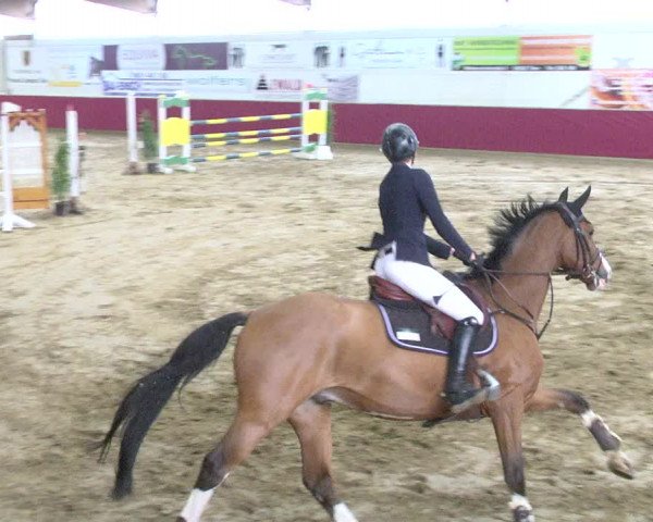 Reitturnier Trier - Hofgut Monaise 2017