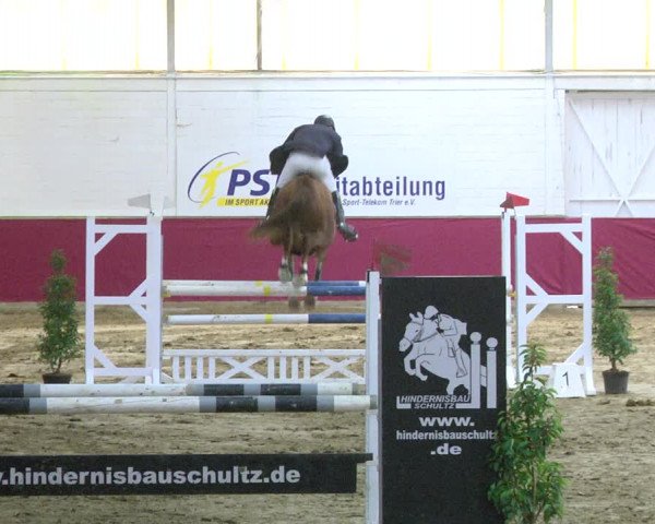Reitturnier Trier - Hofgut Monaise 2017