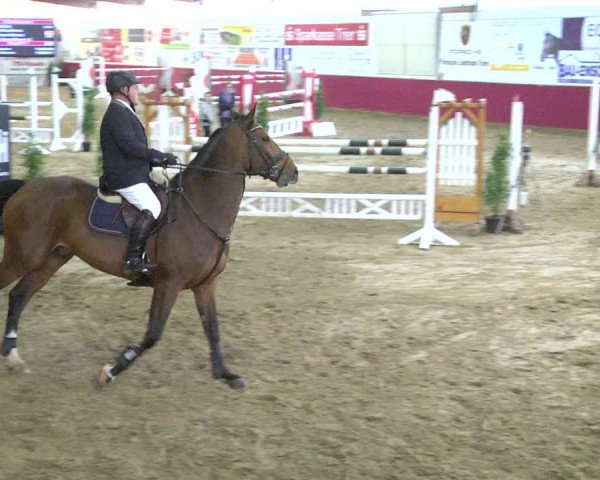 Reitturnier Trier - Hofgut Monaise 2017