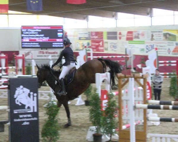 Reitturnier Trier - Hofgut Monaise 2017