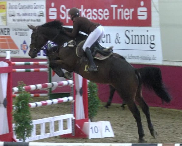 Reitturnier Trier - Hofgut Monaise 2017