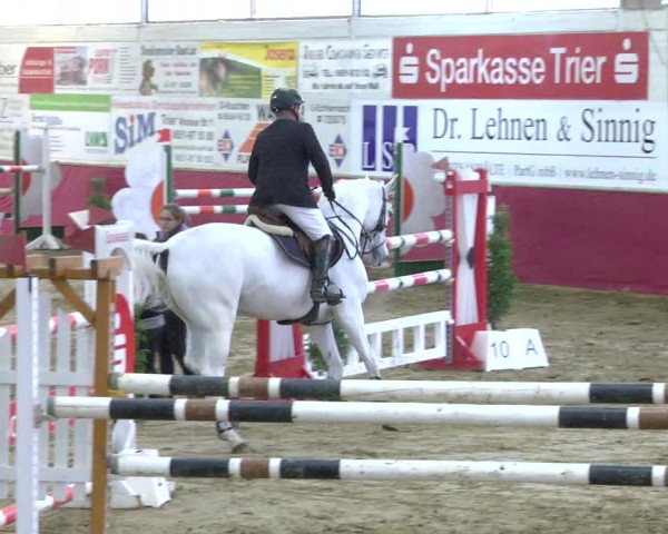 Reitturnier Trier - Hofgut Monaise 2017