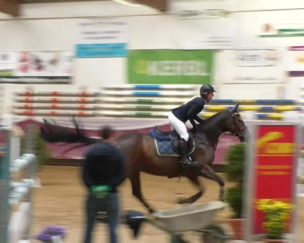 Reitturnier Eicherloh RH Laurent 2017