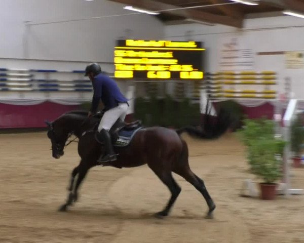 Reitturnier Eicherloh RH Laurent 2017
