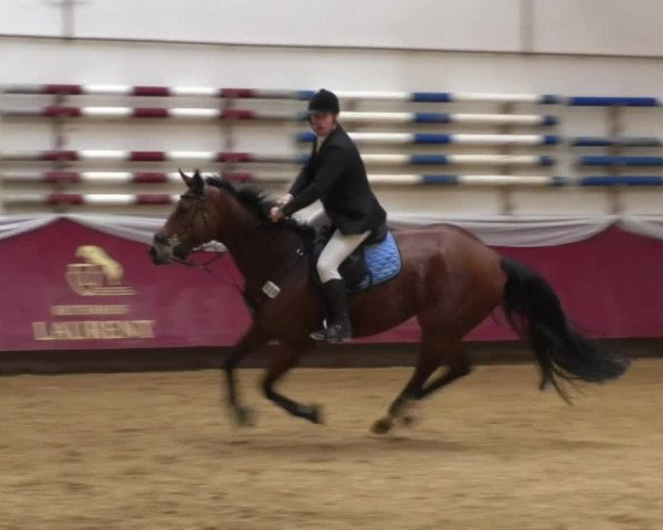 Reitturnier Eicherloh RH Laurent 2017
