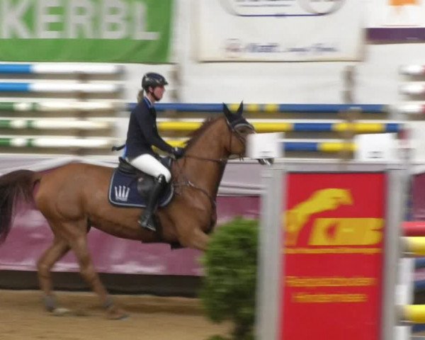 Reitturnier Eicherloh RH Laurent 2017