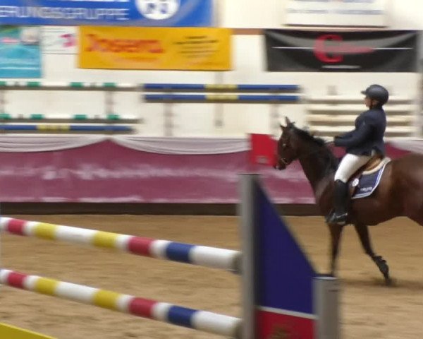 Reitturnier Eicherloh RH Laurent 2017