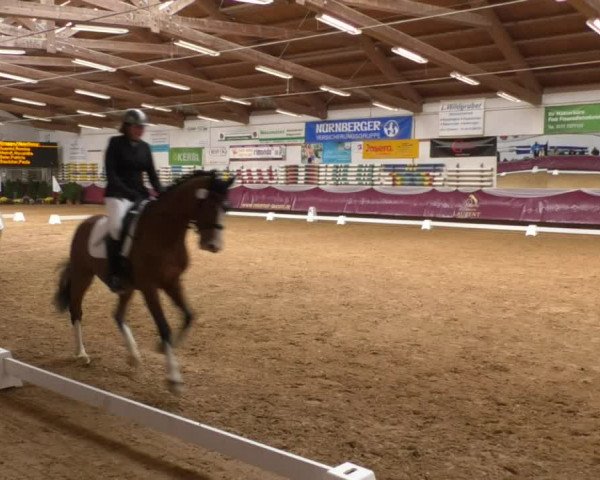Reitturnier Eicherloh RH Laurent 2017