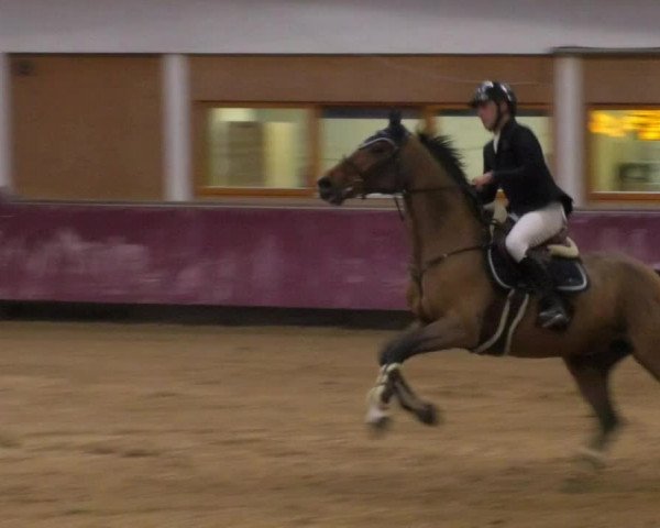 Reitturnier Eicherloh RH Laurent 2017