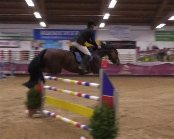 Reitturnier Eicherloh RH Laurent 2017