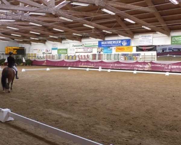 Reitturnier Eicherloh RH Laurent 2017