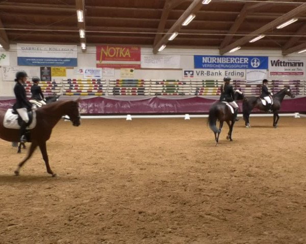 Reitturnier Eicherloh RH Laurent 2017