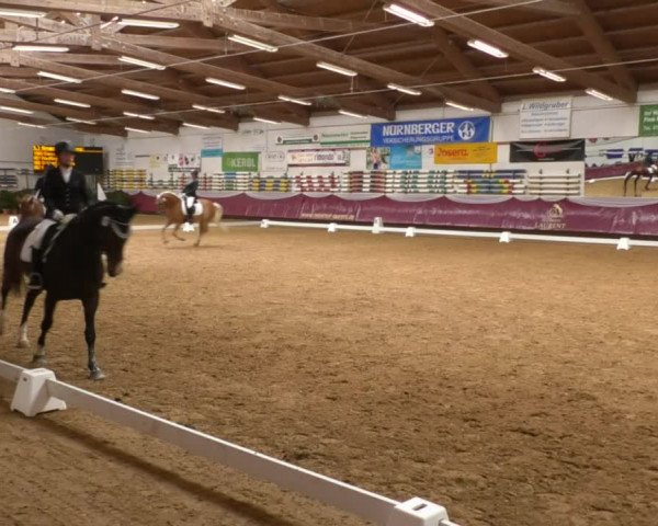 Reitturnier Eicherloh RH Laurent 2017