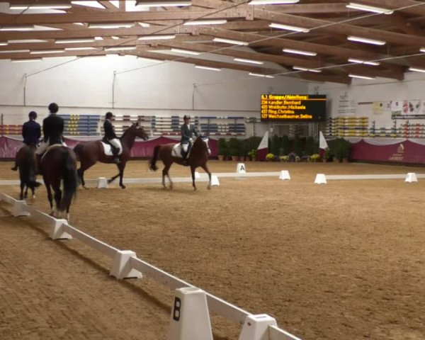 Reitturnier Eicherloh RH Laurent 2017