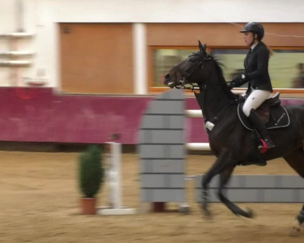 Reitturnier Eicherloh RH Laurent 2017