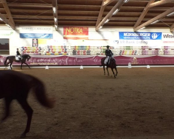 Reitturnier Eicherloh RH Laurent 2017