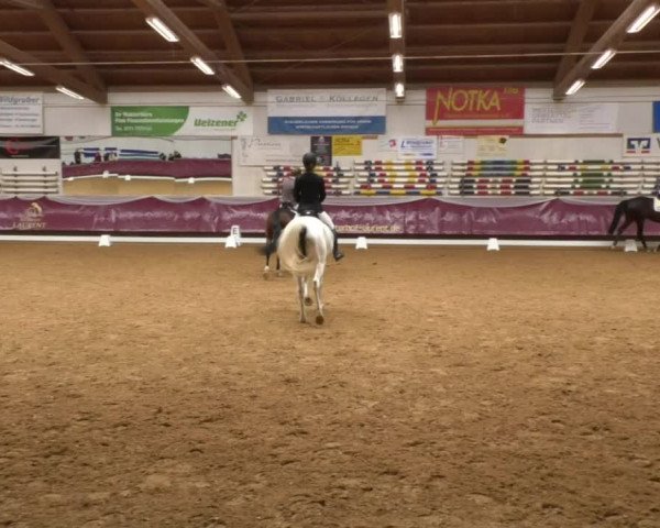 Reitturnier Eicherloh RH Laurent 2017