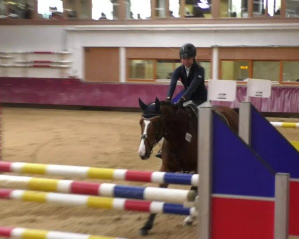 Reitturnier Eicherloh RH Laurent 2017