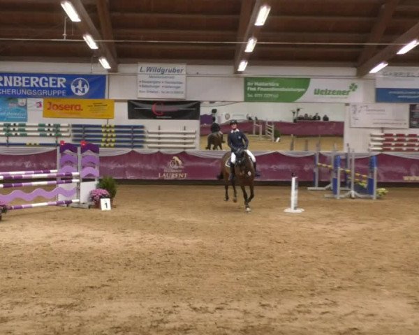 Reitturnier Eicherloh RH Laurent 2017