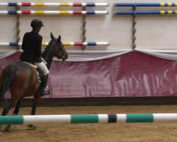 Reitturnier Eicherloh RH Laurent 2017