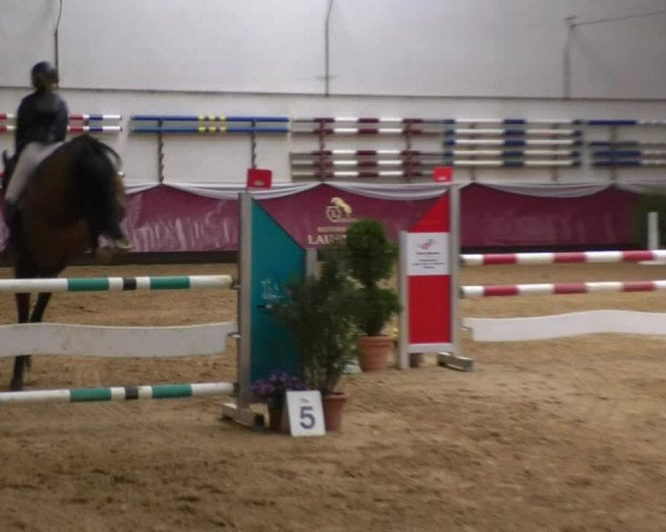 Reitturnier Eicherloh RH Laurent 2017