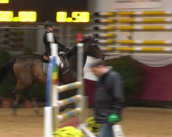 Reitturnier Eicherloh RH Laurent 2017