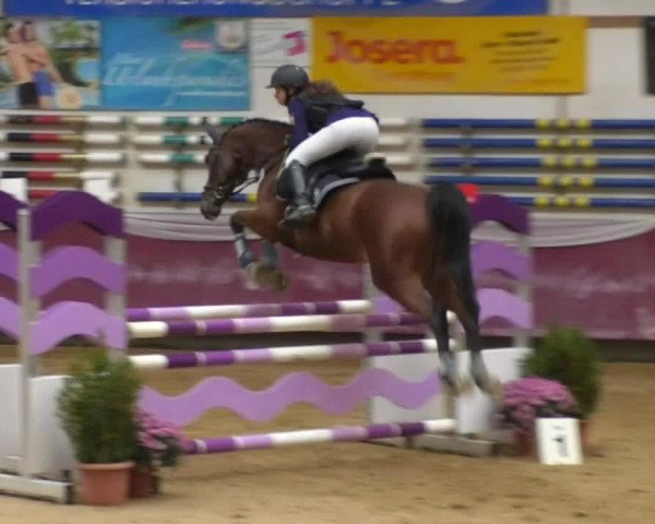 Reitturnier Eicherloh RH Laurent 2017