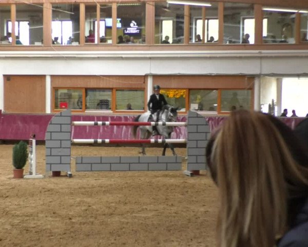 Reitturnier Eicherloh RH Laurent 2017