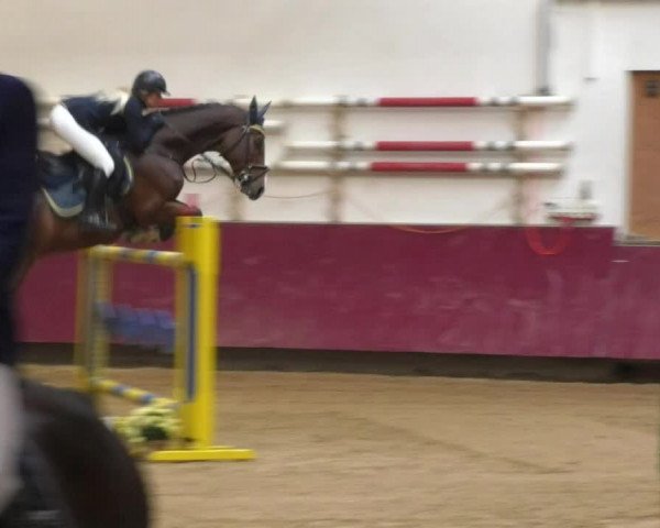 Reitturnier Eicherloh RH Laurent 2017