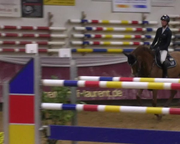 Reitturnier Eicherloh RH Laurent 2017