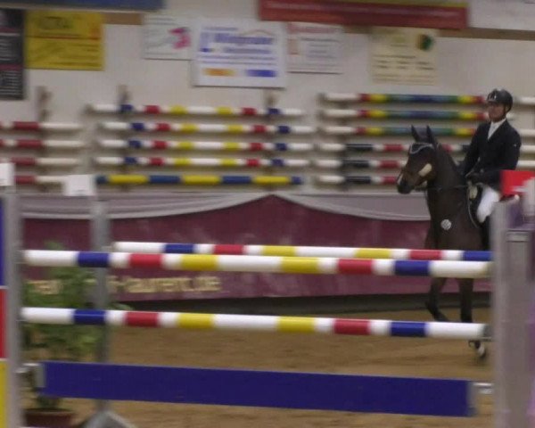 Reitturnier Eicherloh RH Laurent 2017