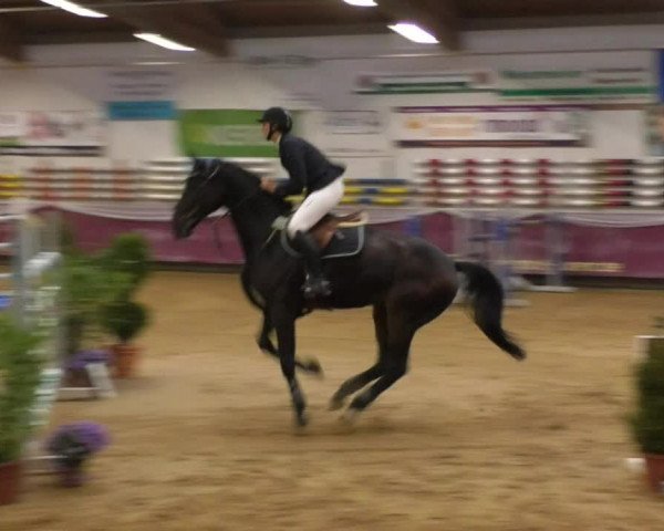 Reitturnier Eicherloh RH Laurent 2017