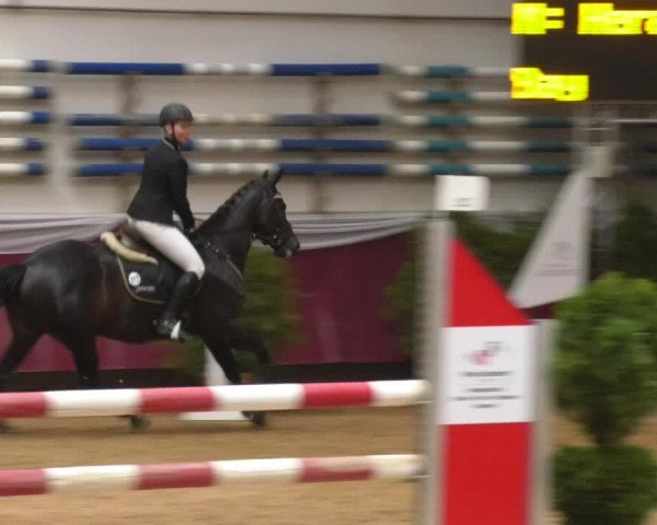 Reitturnier Eicherloh RH Laurent 2017