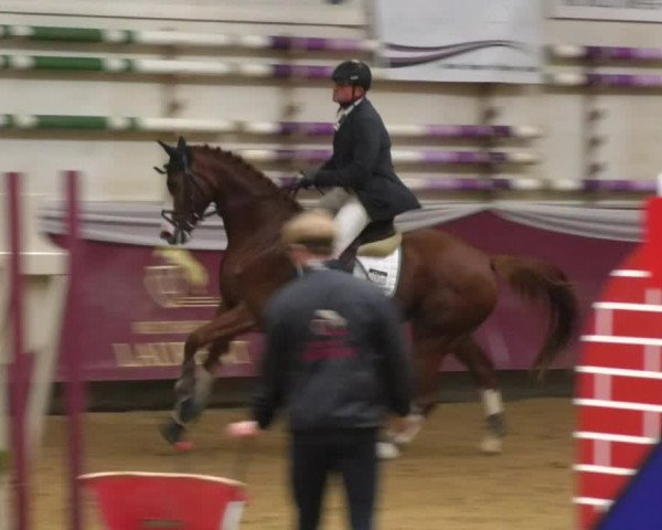 Reitturnier Eicherloh RH Laurent 2017