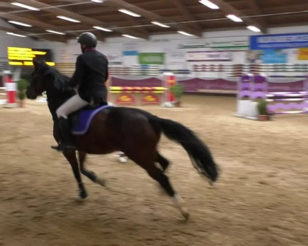 Reitturnier Eicherloh RH Laurent 2017