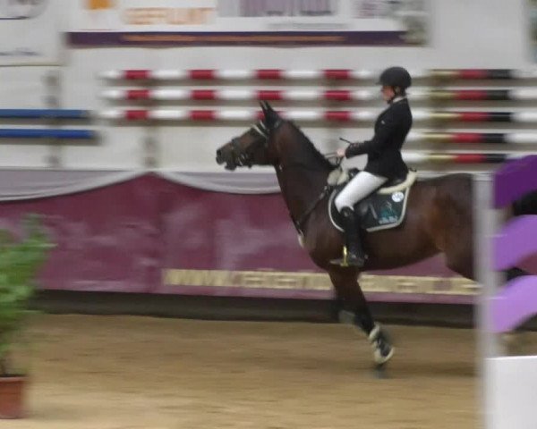 Reitturnier Eicherloh RH Laurent 2017