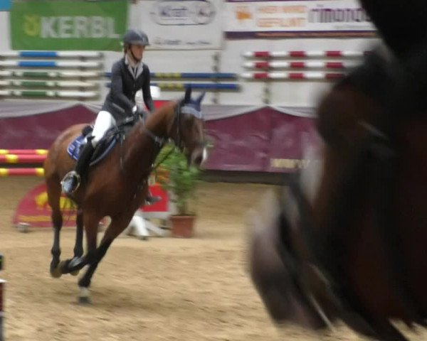Reitturnier Eicherloh RH Laurent 2017