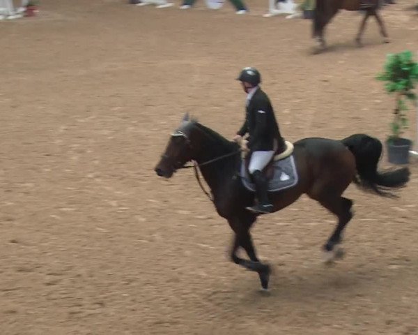 Reitturnier Kreuth 2017